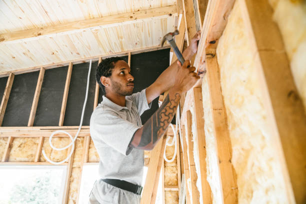 Best Home Insulation Services  in Whitehouse, TX